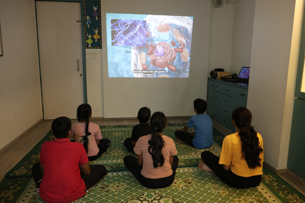 Audio visual room at Zack, Surat